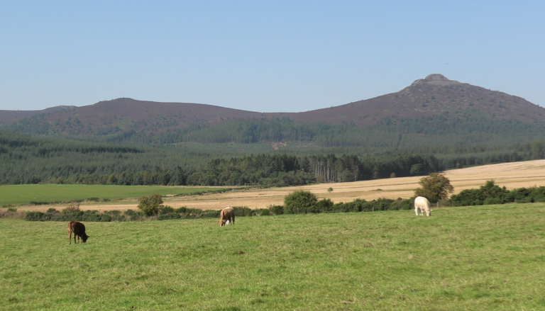 Carney Heritage Productions Background - with the hill of Bennachie