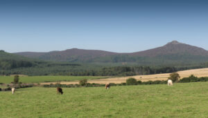 Bennachie Landscape 1400 x 800 v3